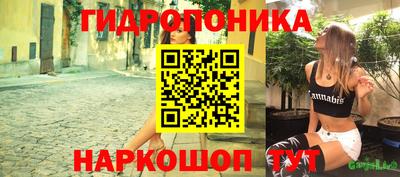 прущие крисы Кингисепп