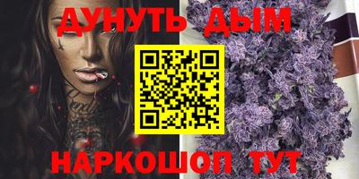 прущие крисы Кингисепп
