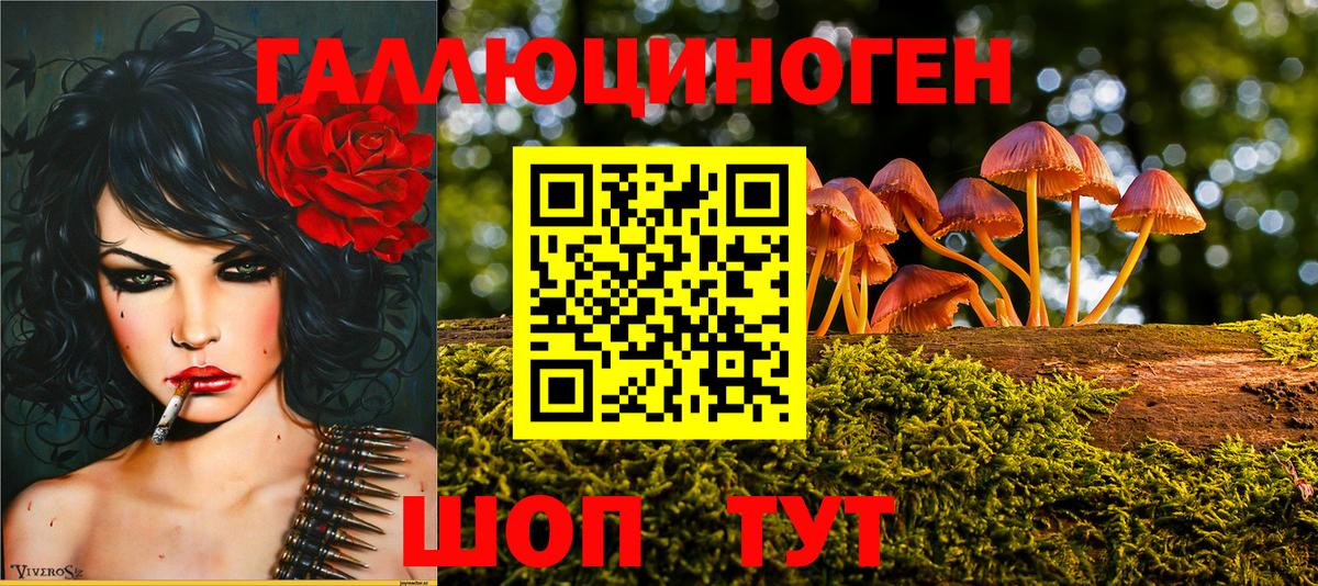 Галлюциногенные грибы Psilocybe  Вход с VPN  Кострома 
